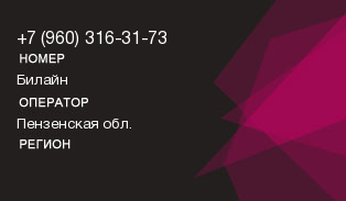 9603163173